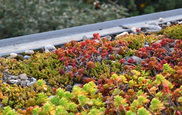 the cost of Greeness green roof installation